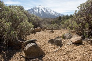 Mount Teide