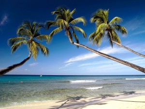 kings-beach-west-coast-barbados-west-indies